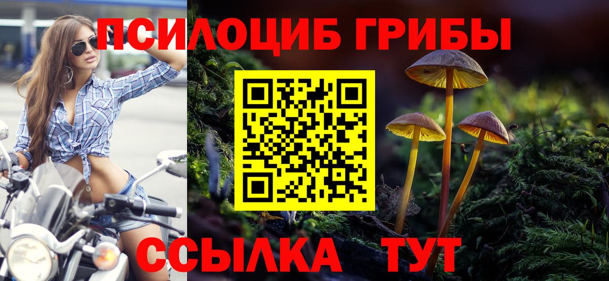 Галлюциногенные грибы мухоморы Изобильный